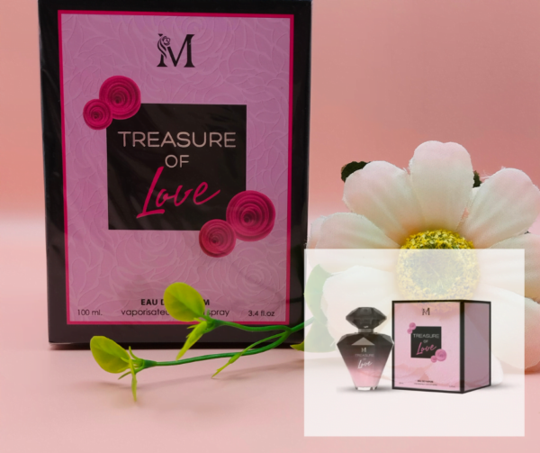 Perfume Montage Treasure Of Love Feminino 100 ml