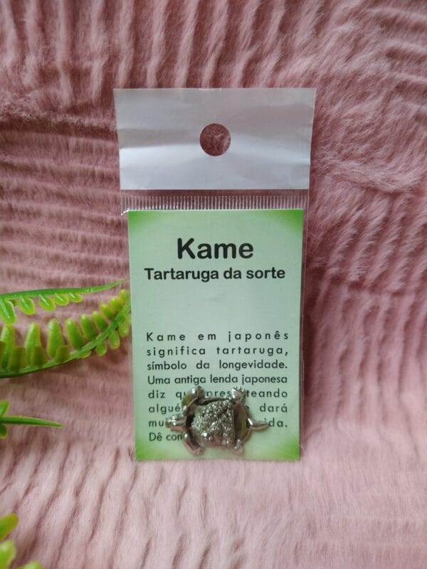 Kame Tartaruga da Sorte