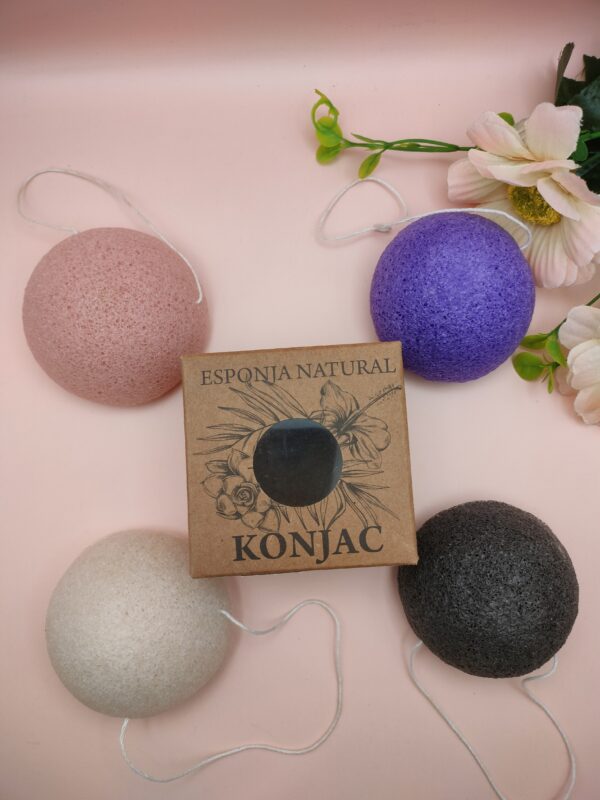 Esponja Natural Konjac – Aw Artisan